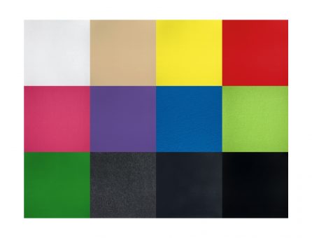 Master Partys beurstapijt kopen