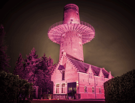 Master Partys wall wash huren